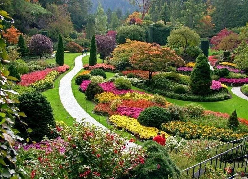 Dendrarium Park