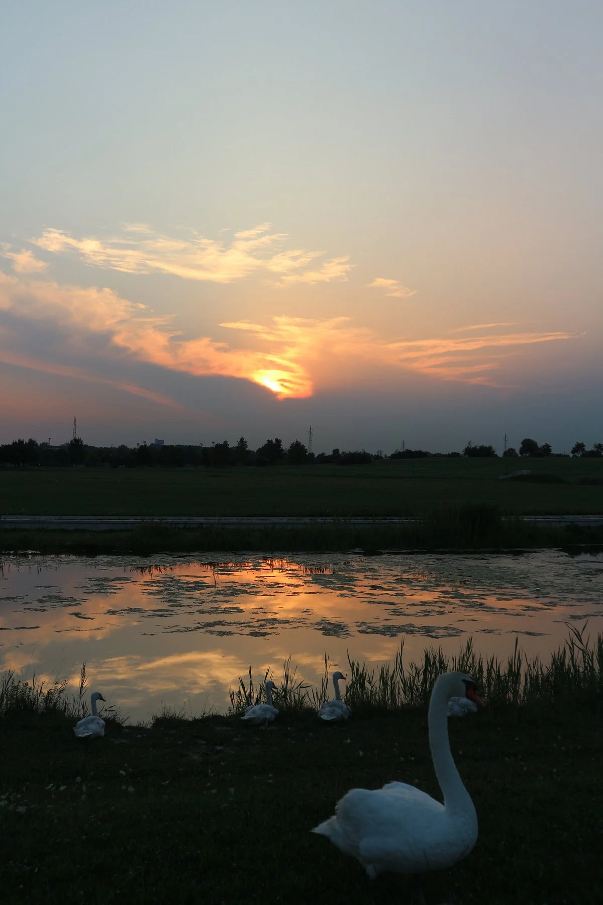 Parco San Giuliano