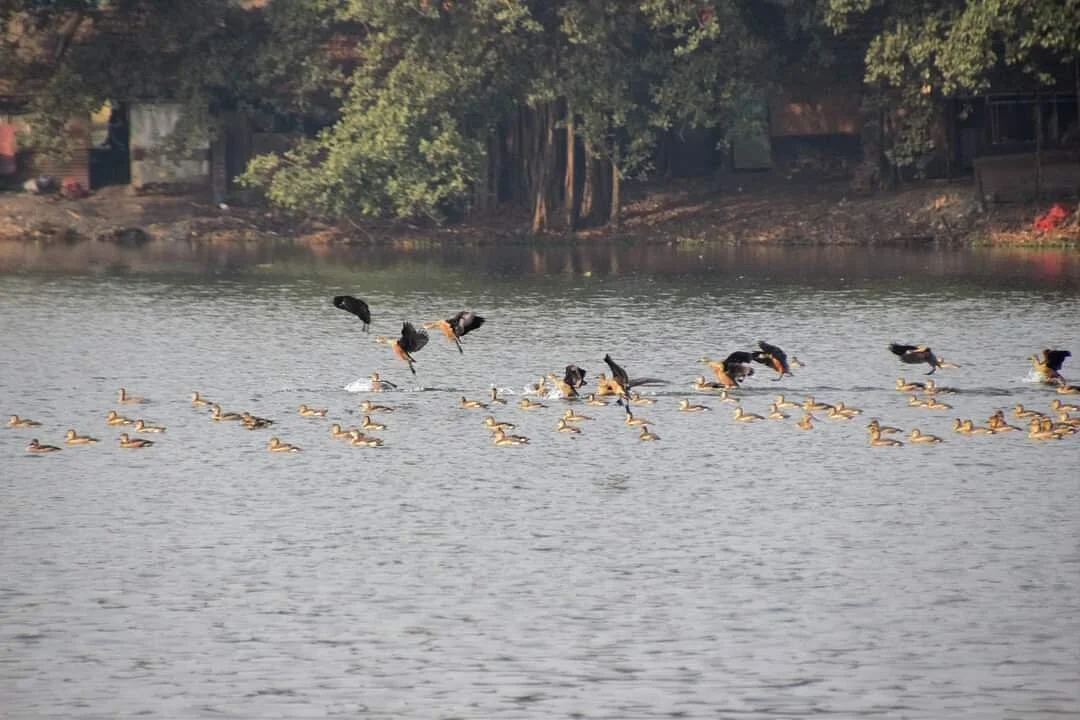 Santragachi Jheel