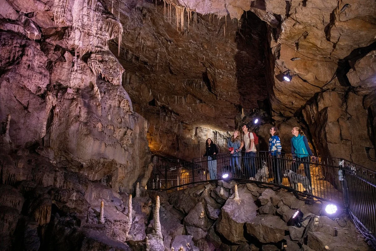 Poole's Cavern & Buxton Country Park