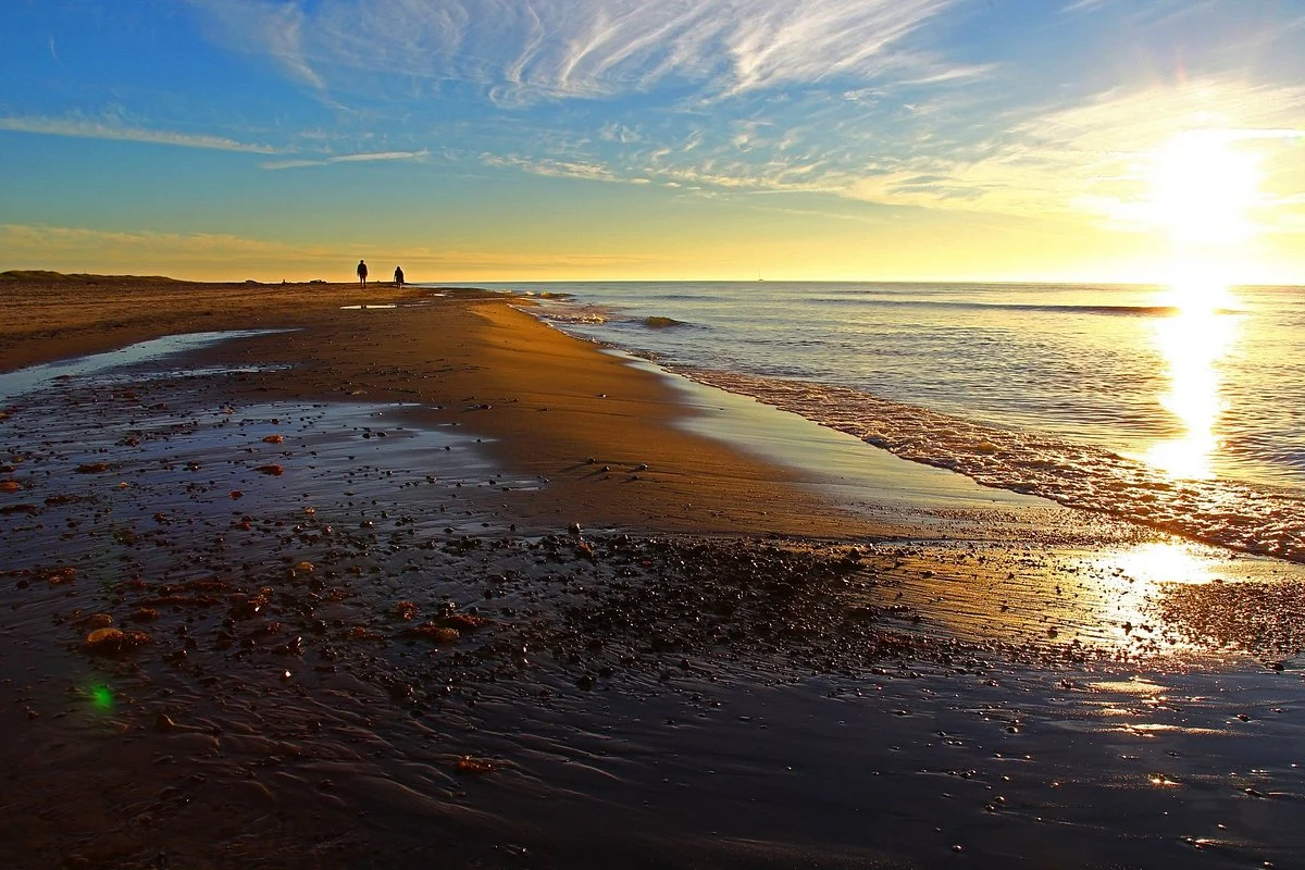 Grenen