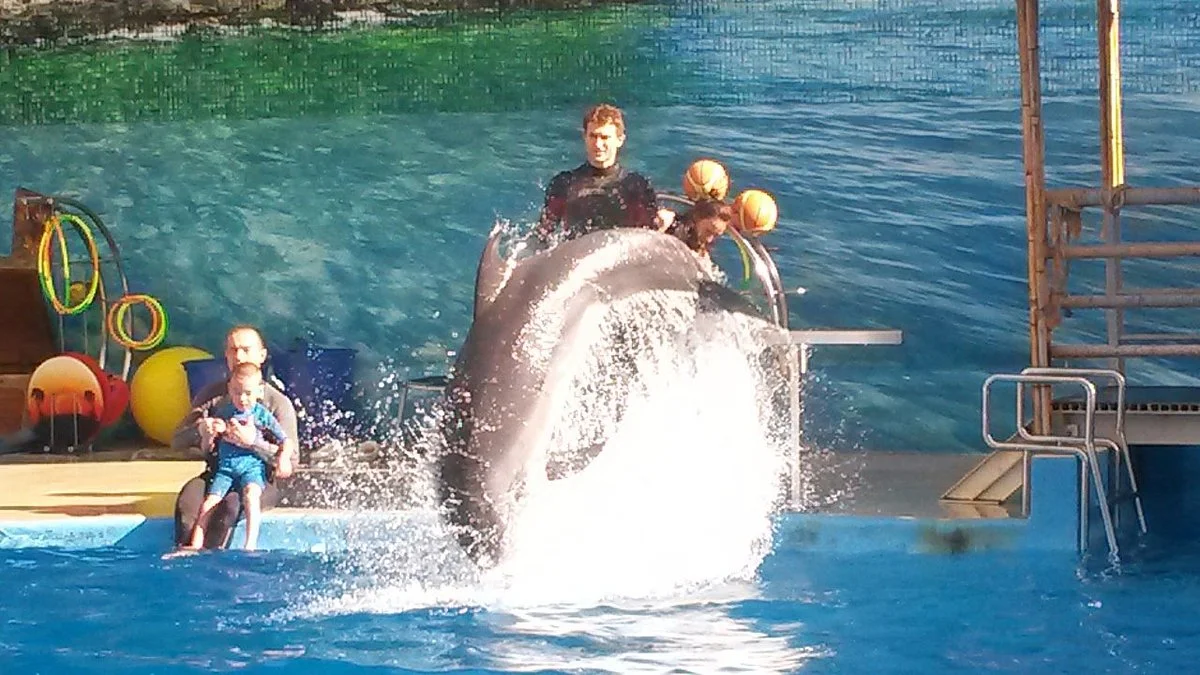 Anapa Dolphinarium (Nemo)