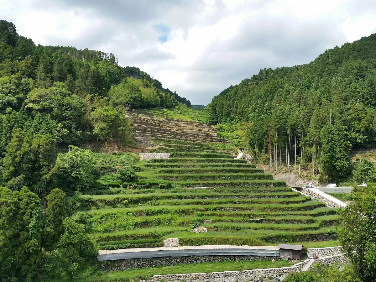 Ishizumi Rice Terraces
