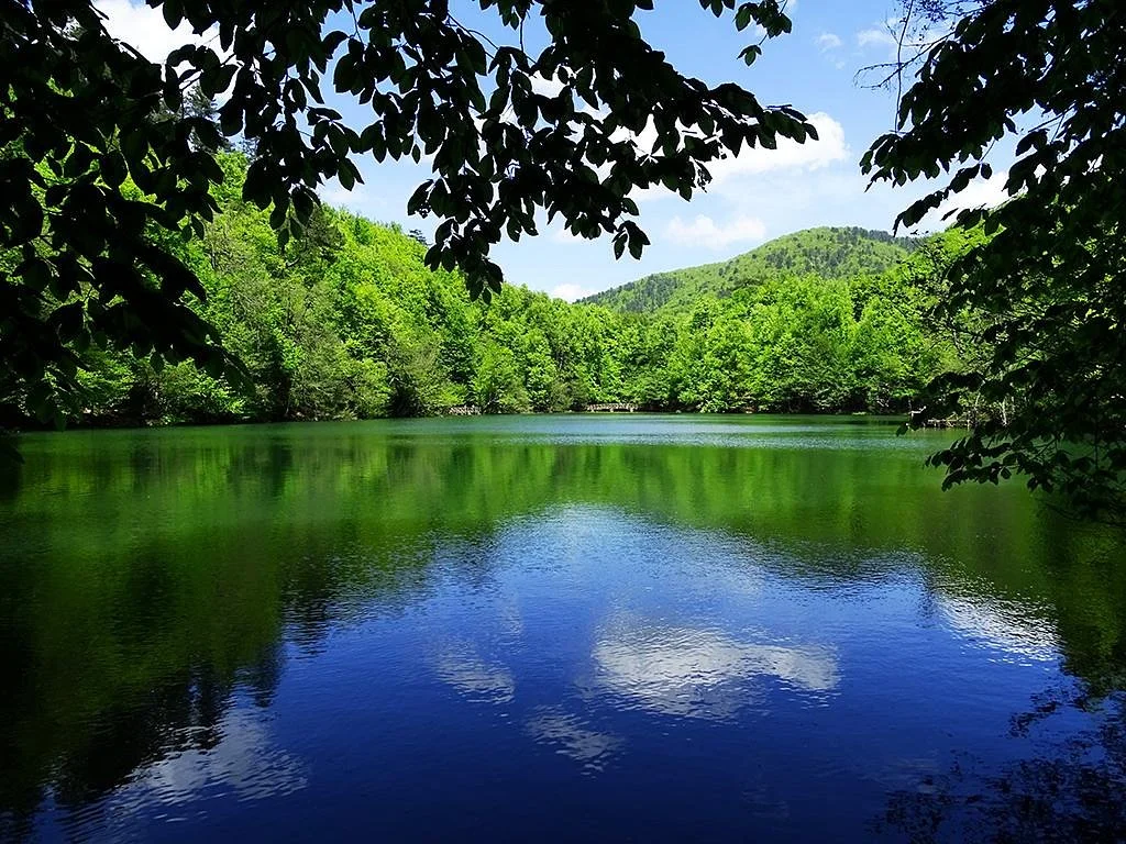 Yedigoller National Park