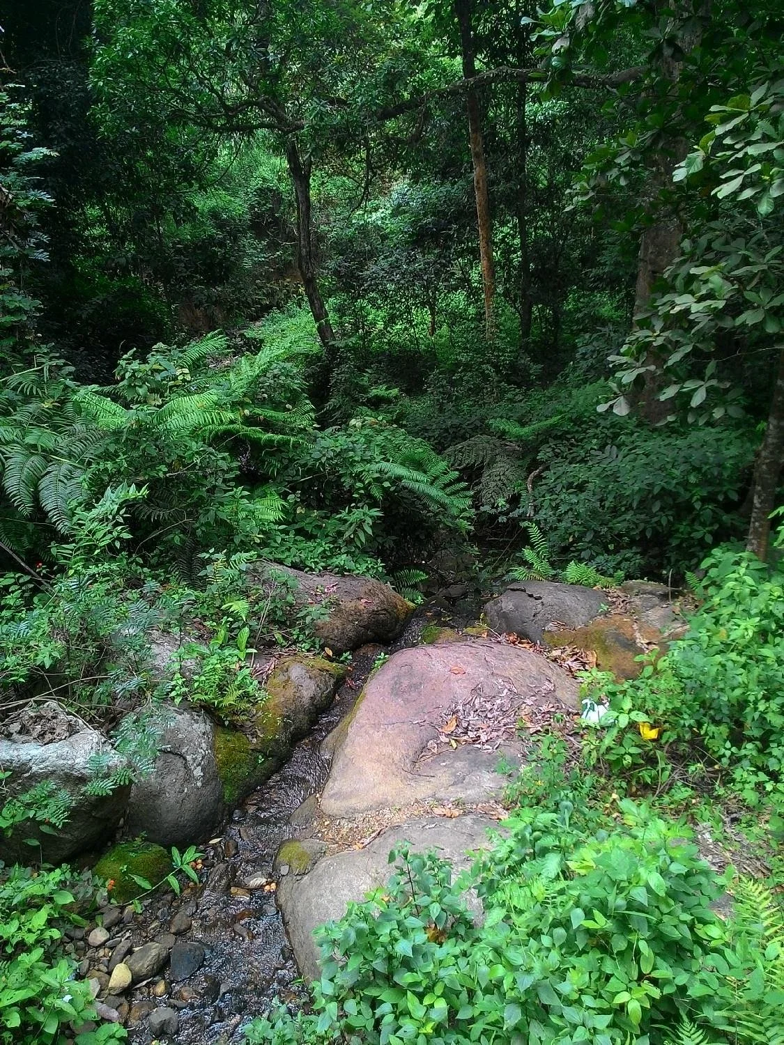 Papanashini River