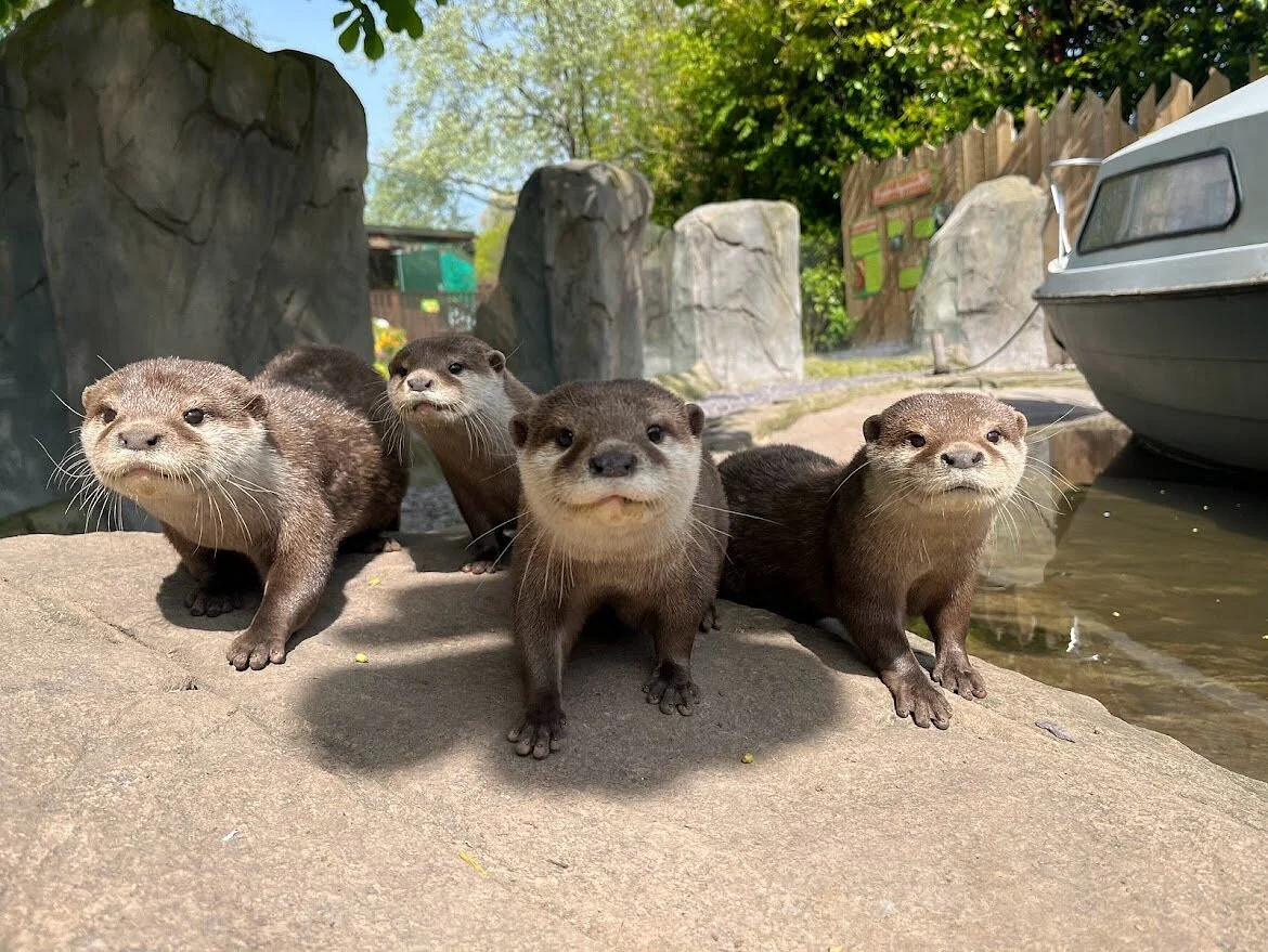 Exotic Zoo Wildlife Park