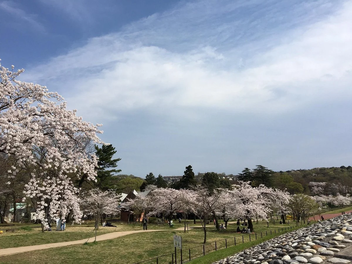 Sayama Park