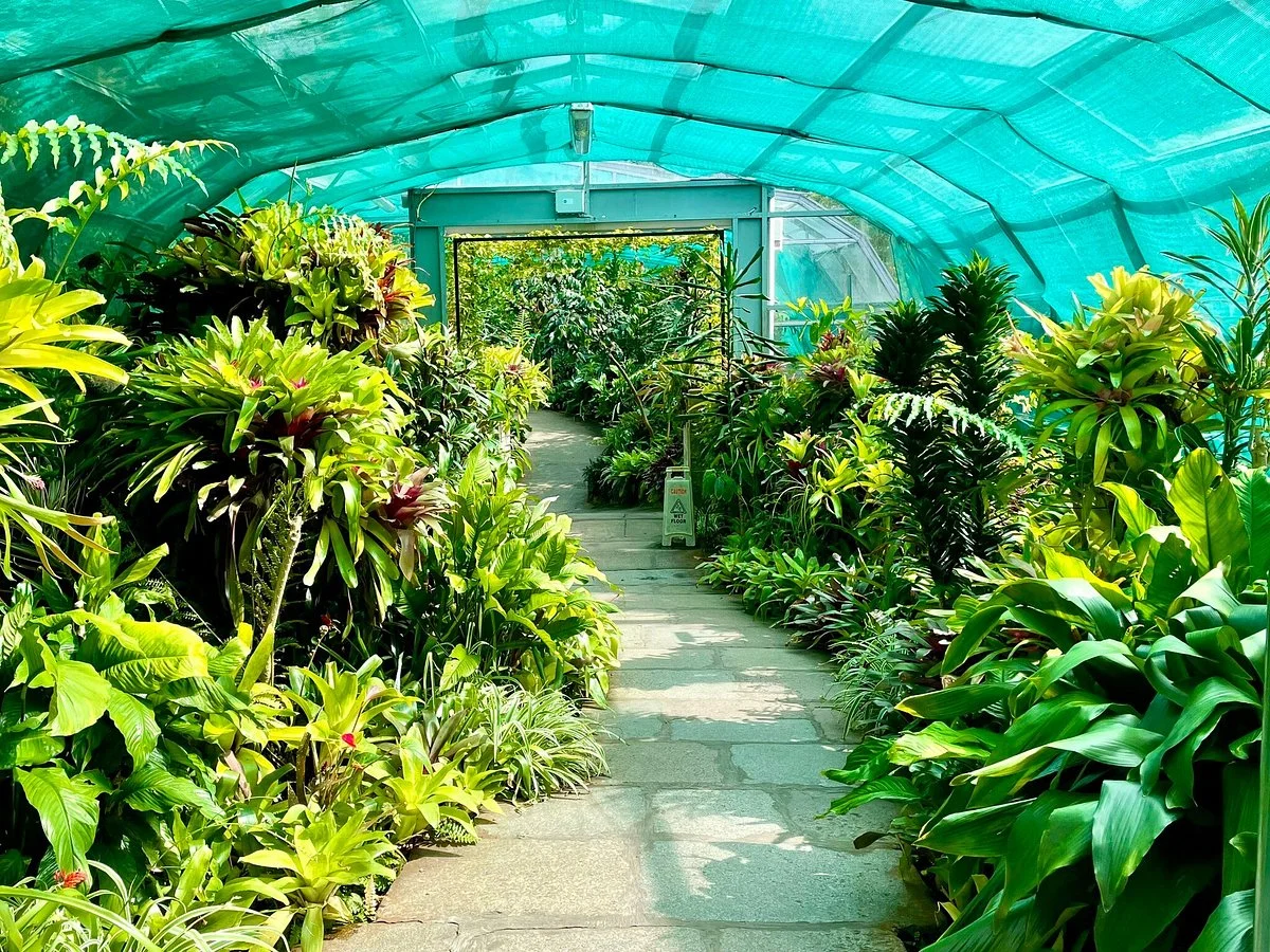 Duthie Park Winter Gardens
