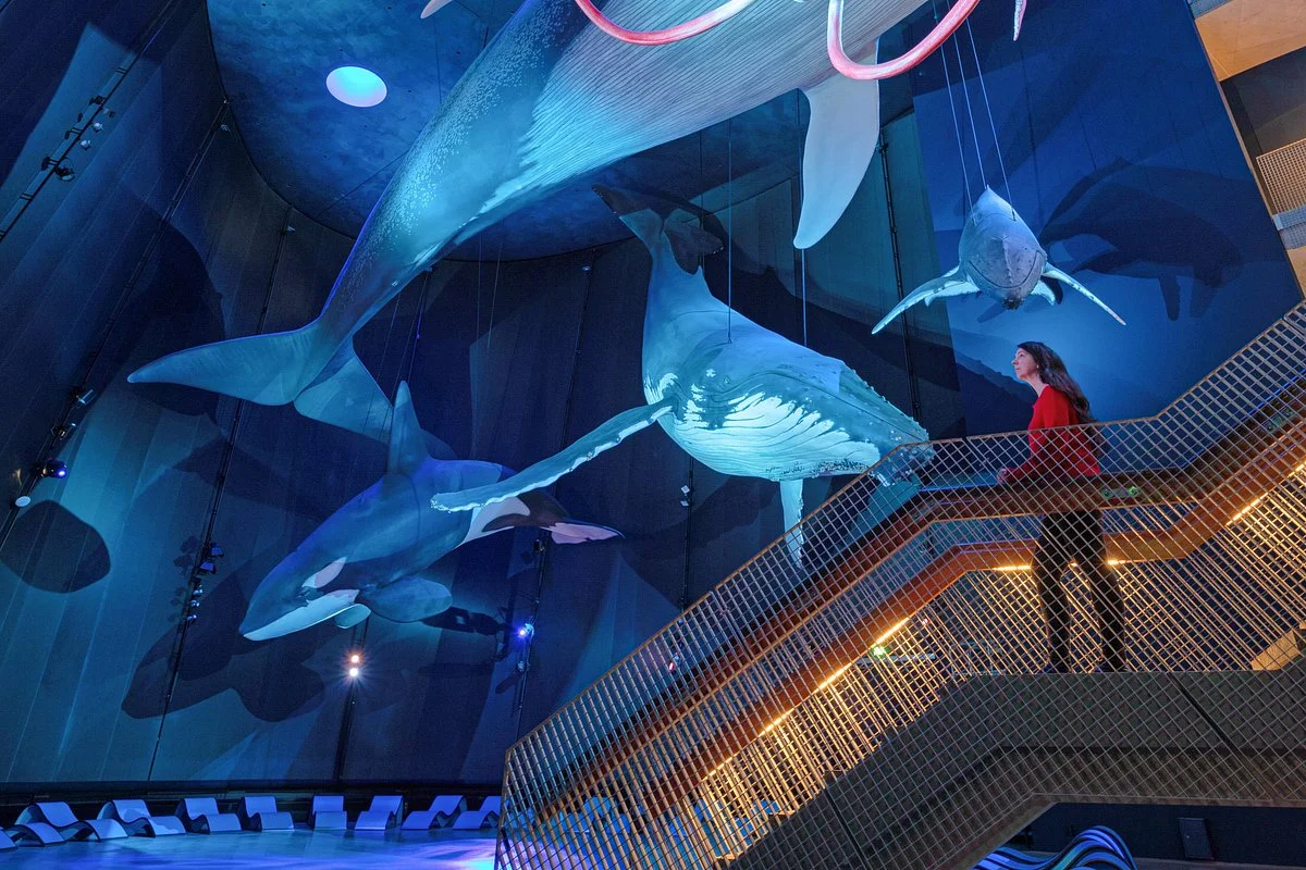 Ozeaneum Stralsund