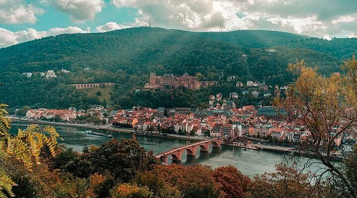 Niester Riesen
