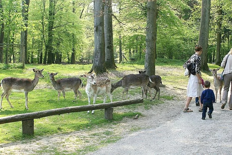 Wildpark Grafenberg