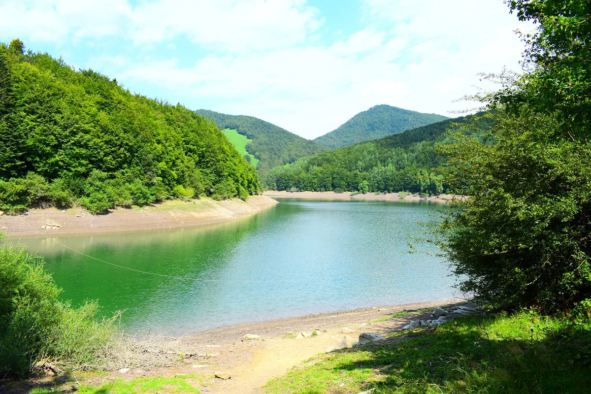 Selva de Irati
