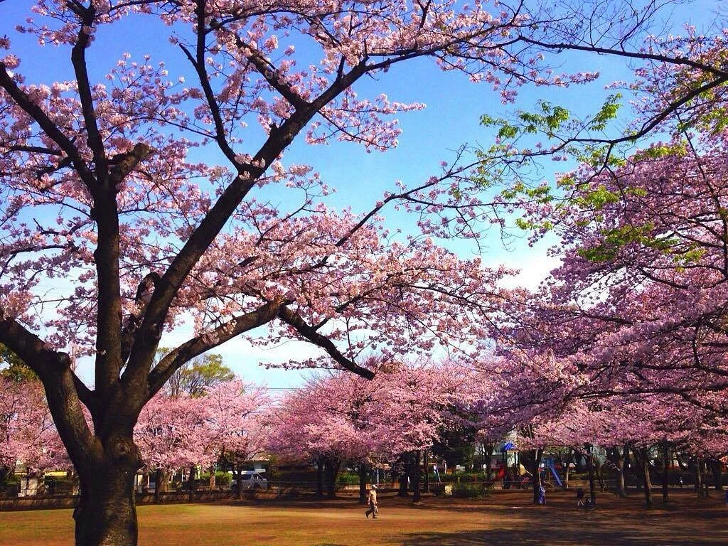 Fuchunomori Park