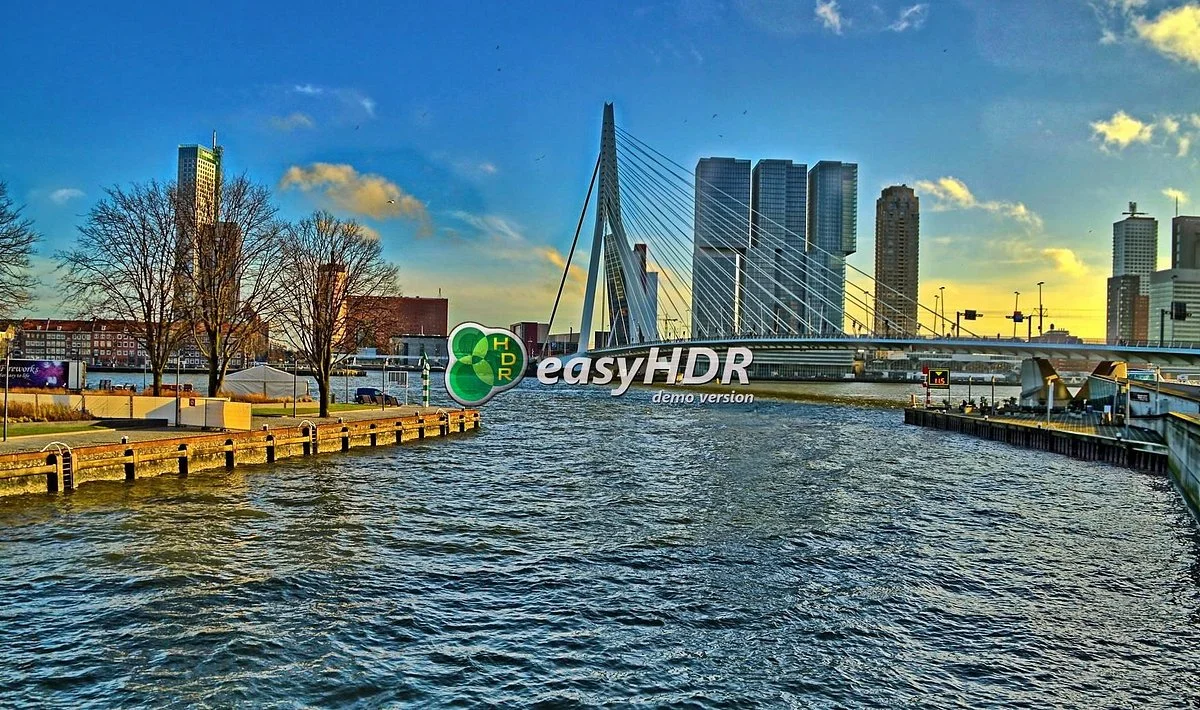 Erasmus Bridge