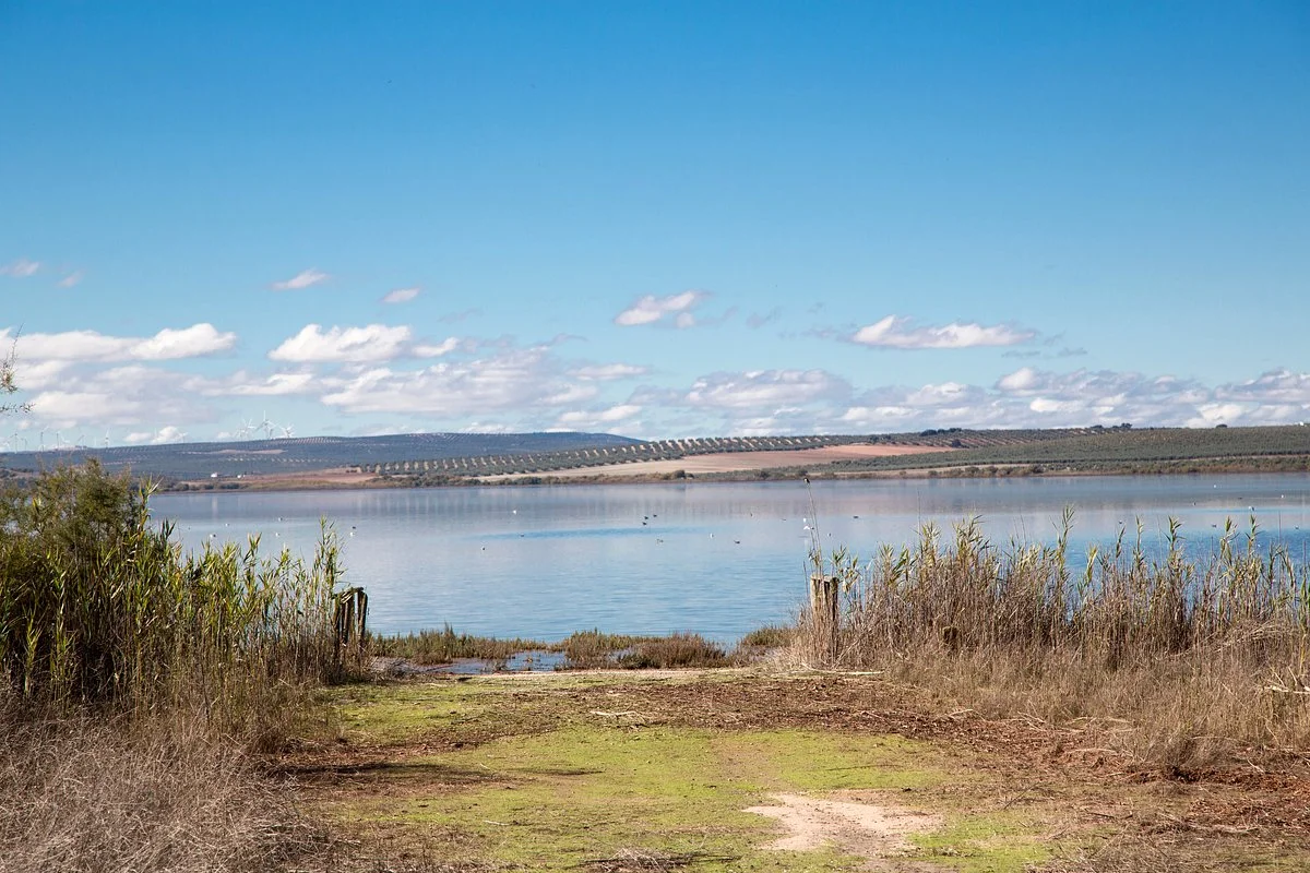 Laguna de Fuente Piedra