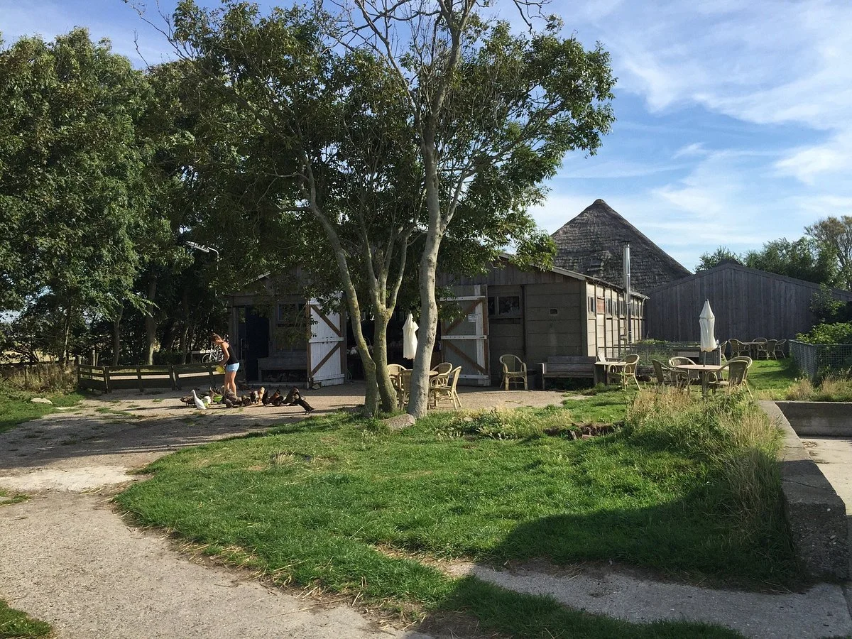 Schapenboerderij Texel