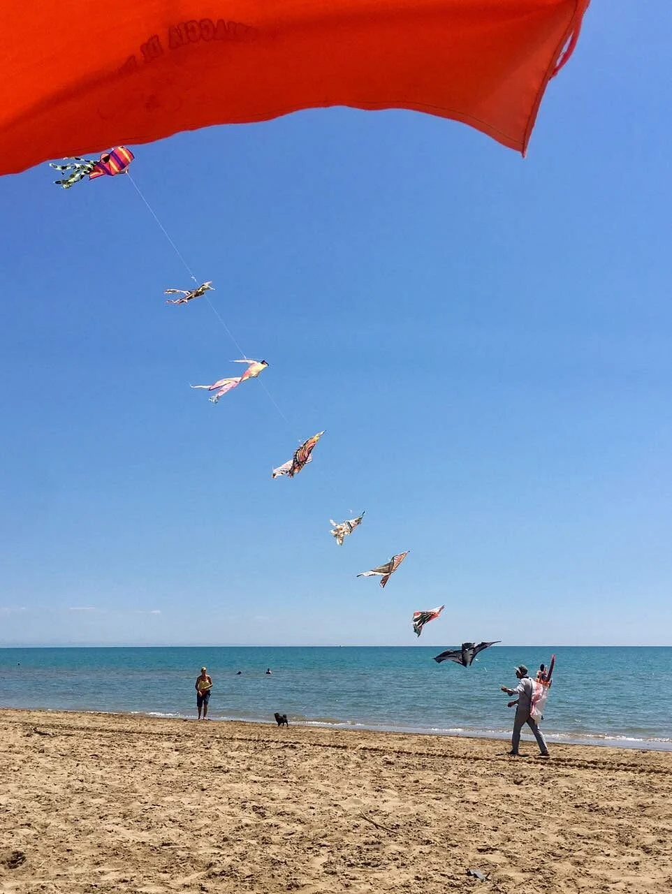 La spiaggia di Pluto