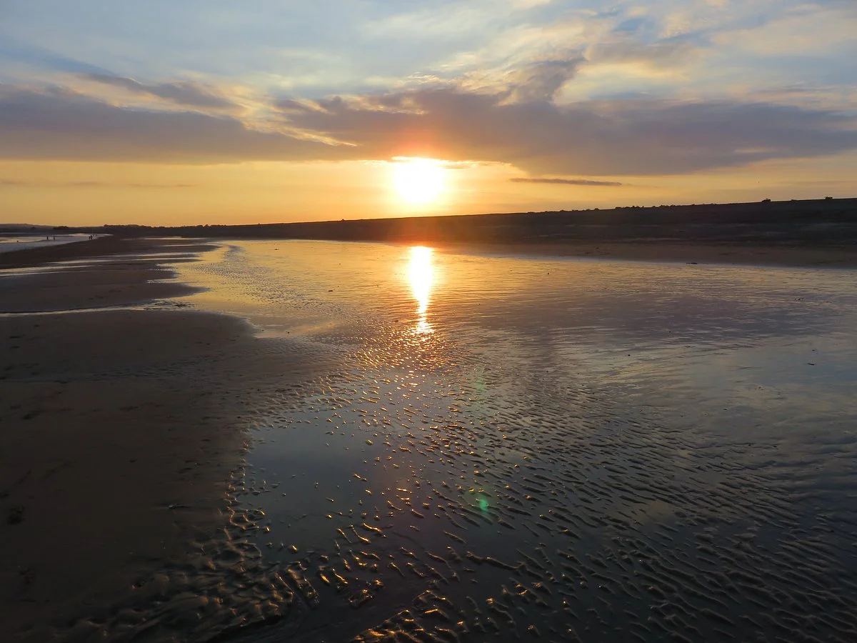 Rye Harbour Nature Reserve