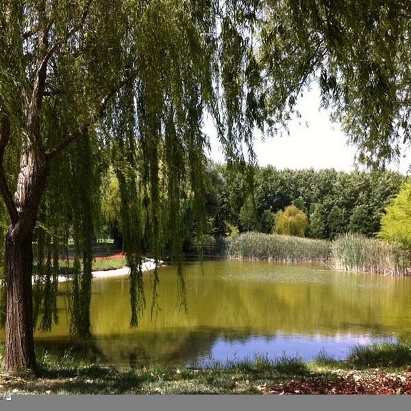 Soğanlı Botanik Parkı