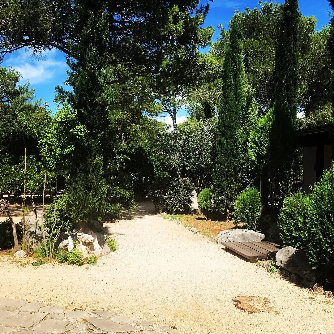 Sokolarski Raptor Centre