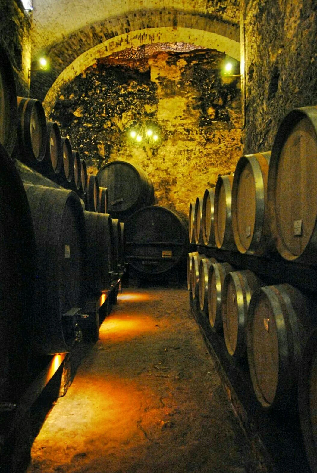 Cantina de' Ricci