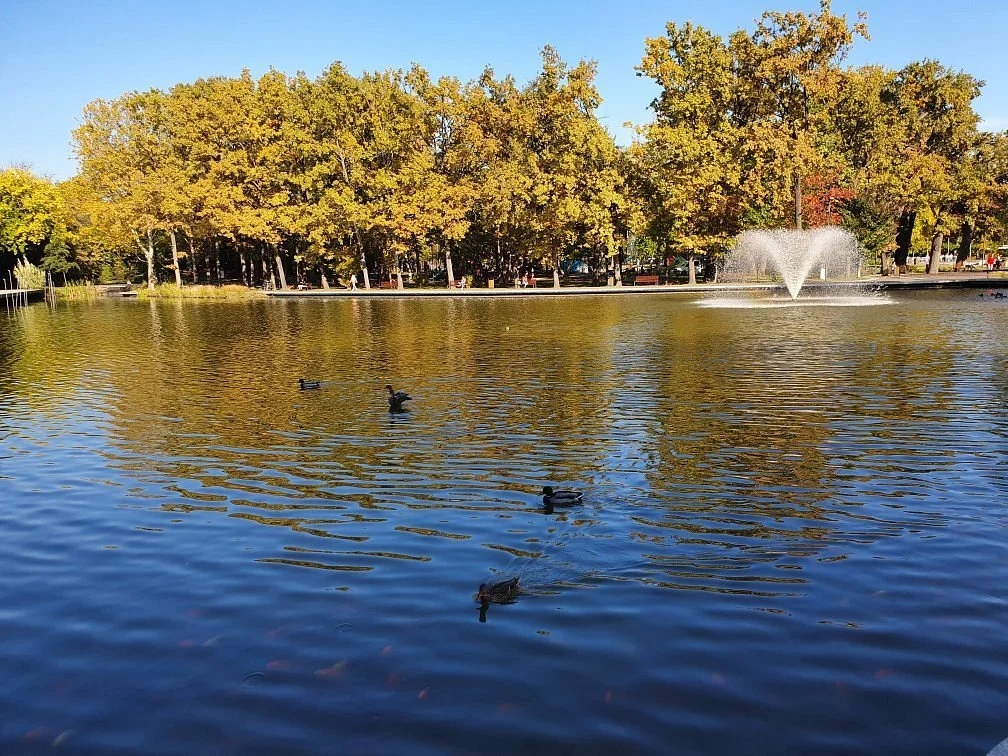 Nagyerdei Park