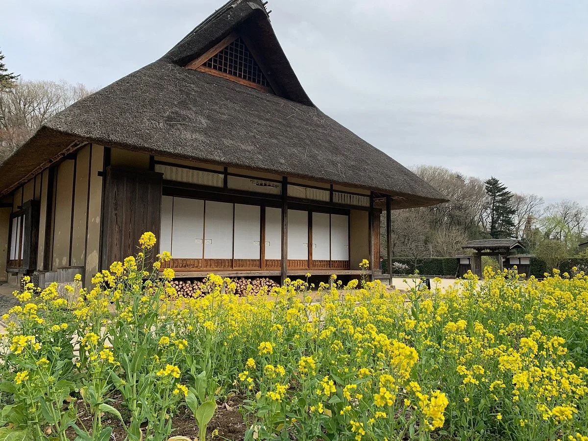 Noyamakita Rokudoyama Park