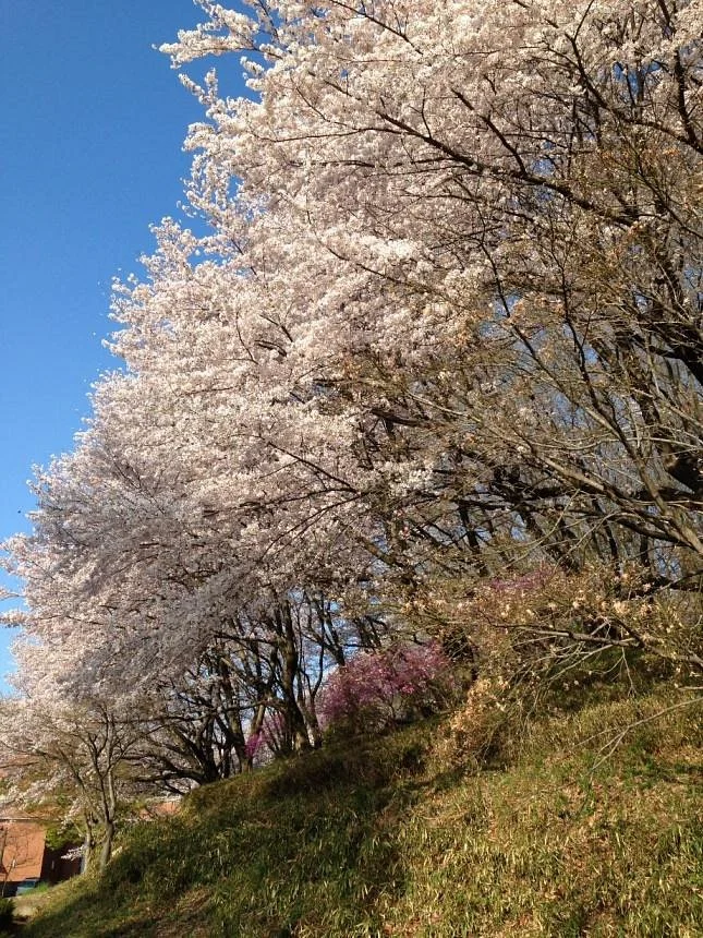 Sengenyama Park