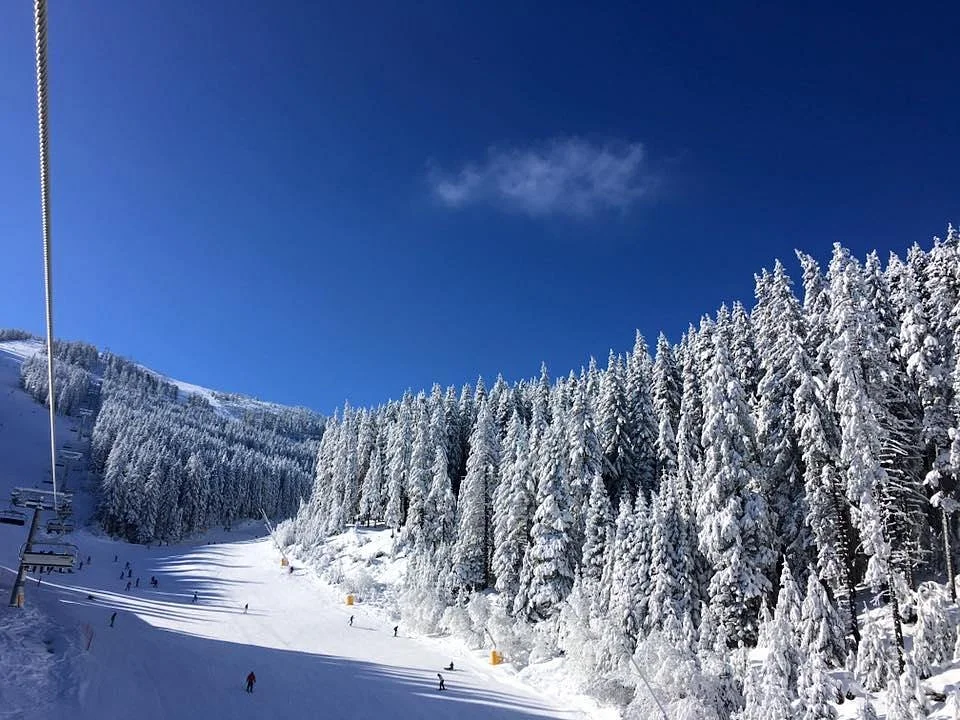 Method Snow School