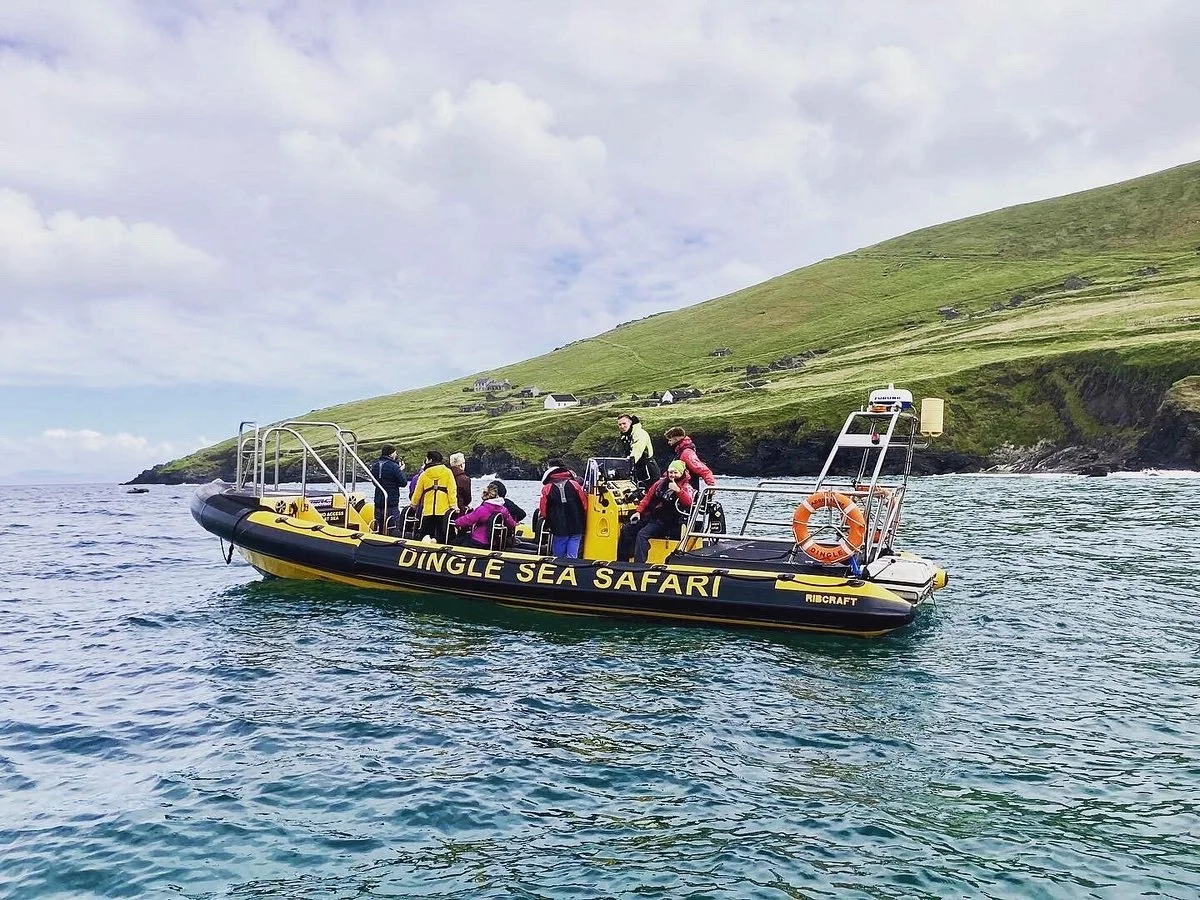 Dingle Sea Safari