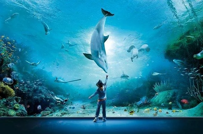 Aquarium of Genoa
