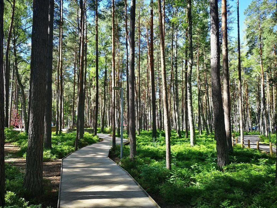 Dzintari Forest Park