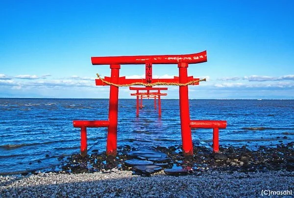Kaichu Torii