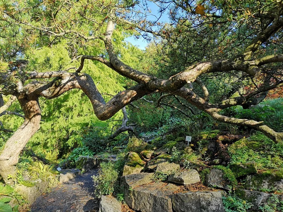 Botanischer Garten