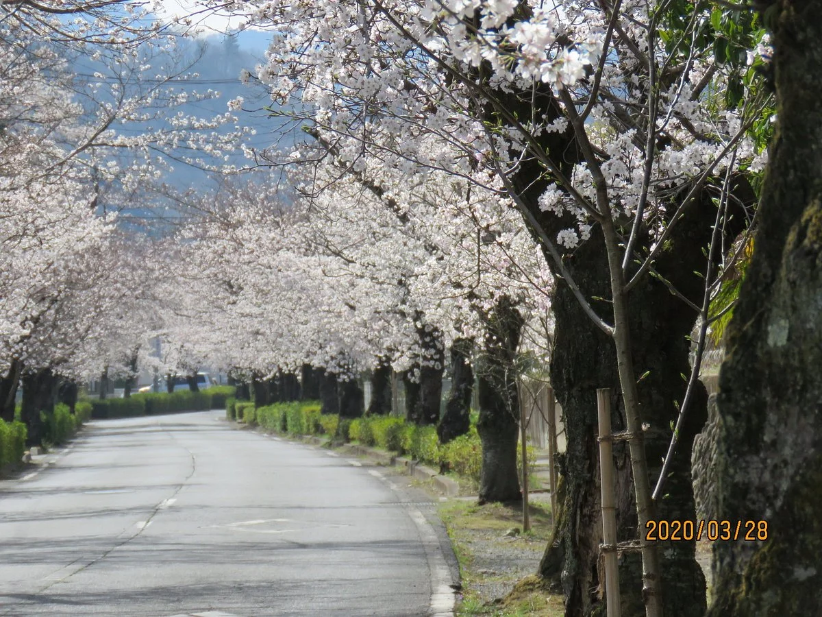 Nagatoromachi Tourist Information Center