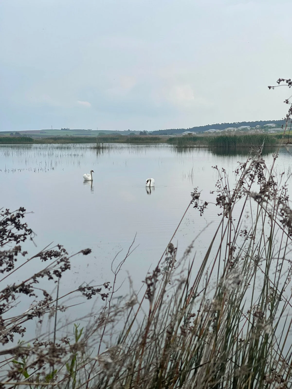 Sani Wetlands