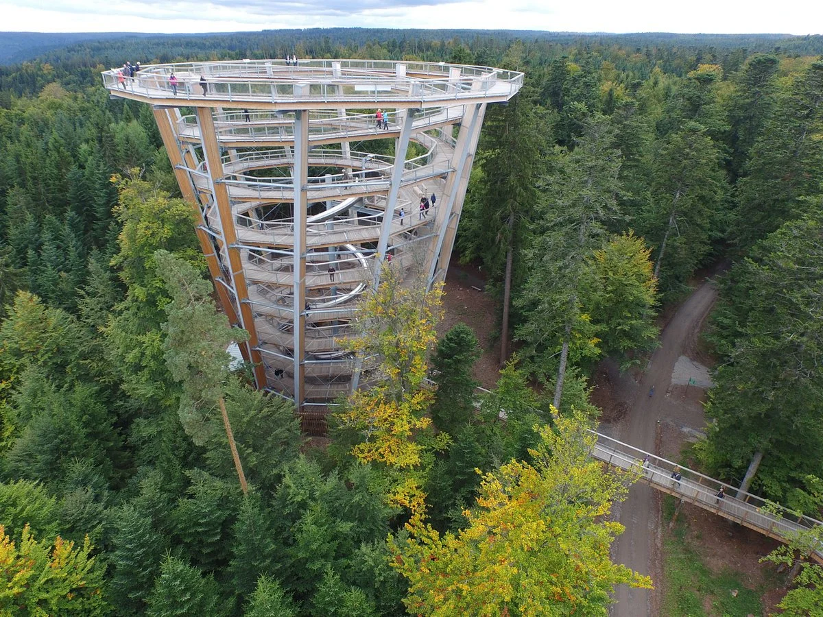 Baumwipfelpfad Schwarzwald