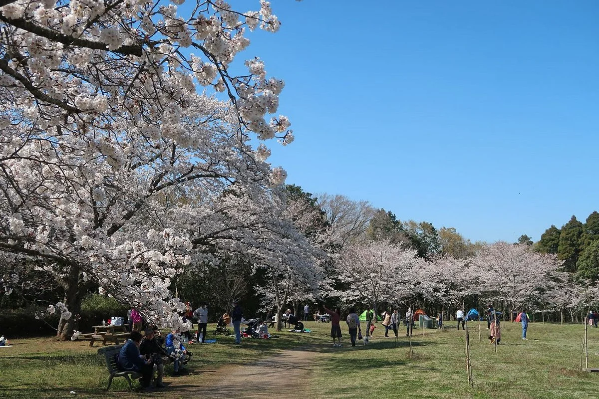 Izumi Nature Park Natural Boadwalk