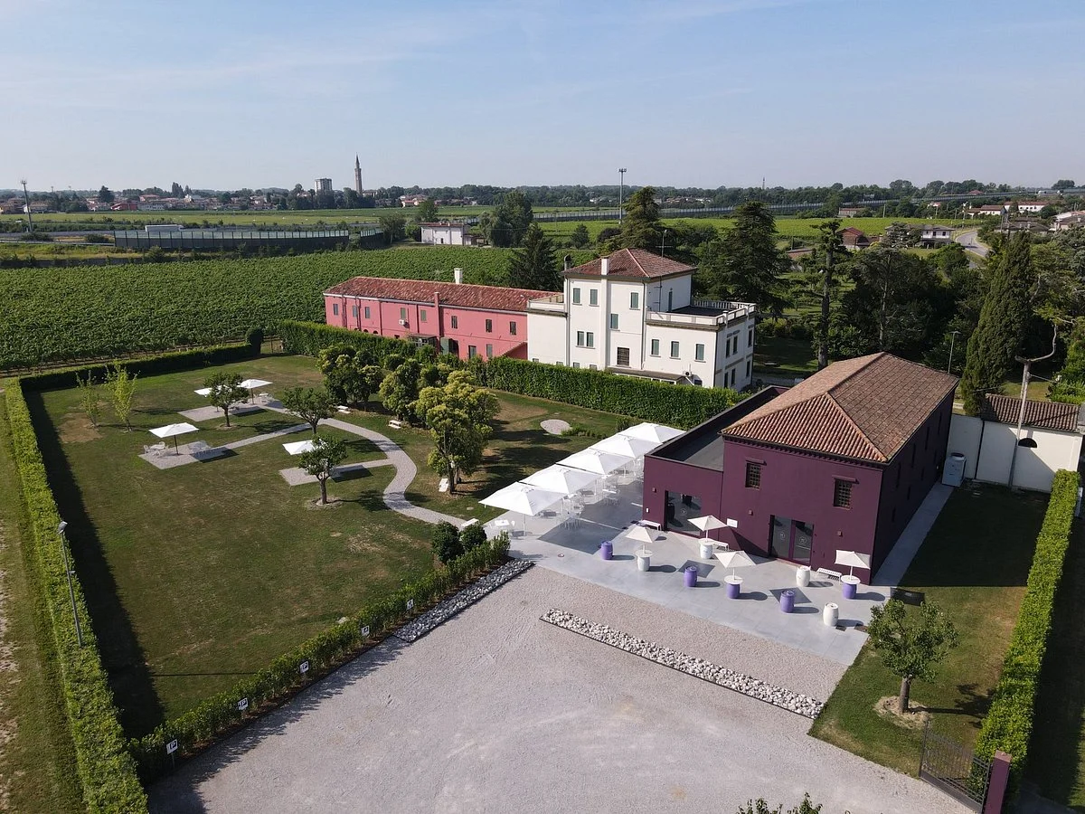 Suttowine Noventa