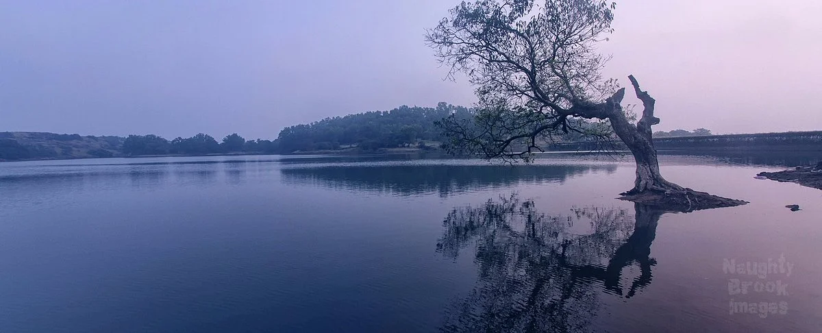 Tungarli Lake