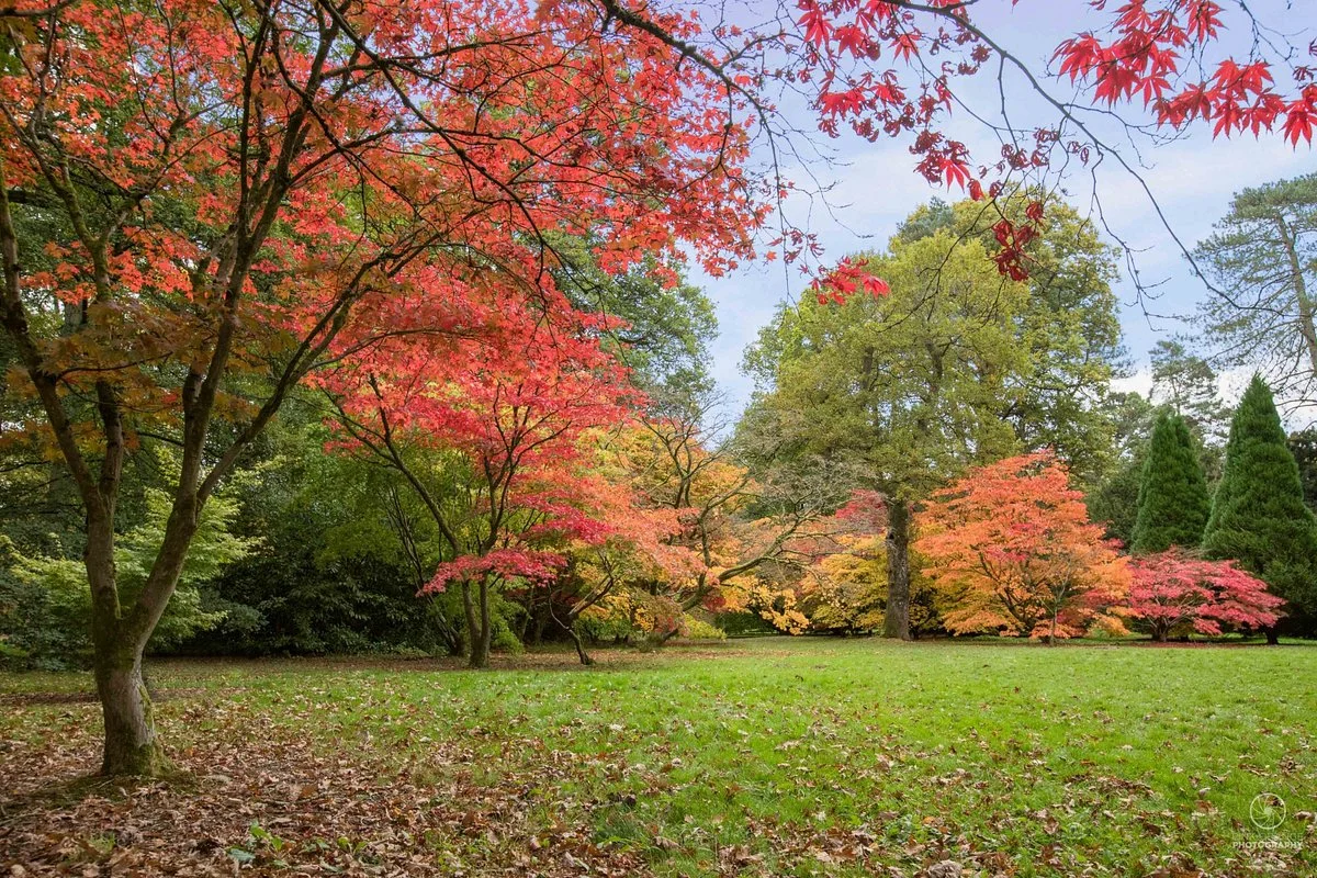 Westonbirt Arboretum
