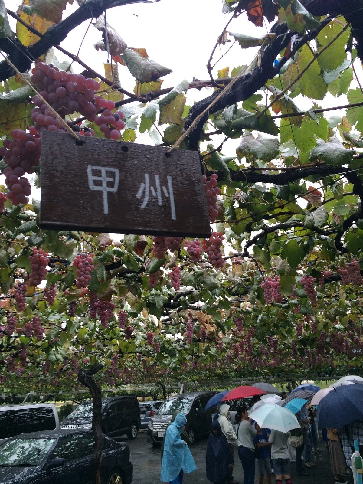 Kubota Gardens