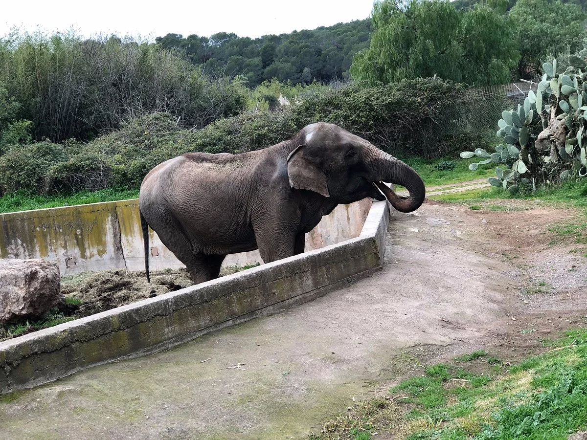 Parc Zoologique de Frejus