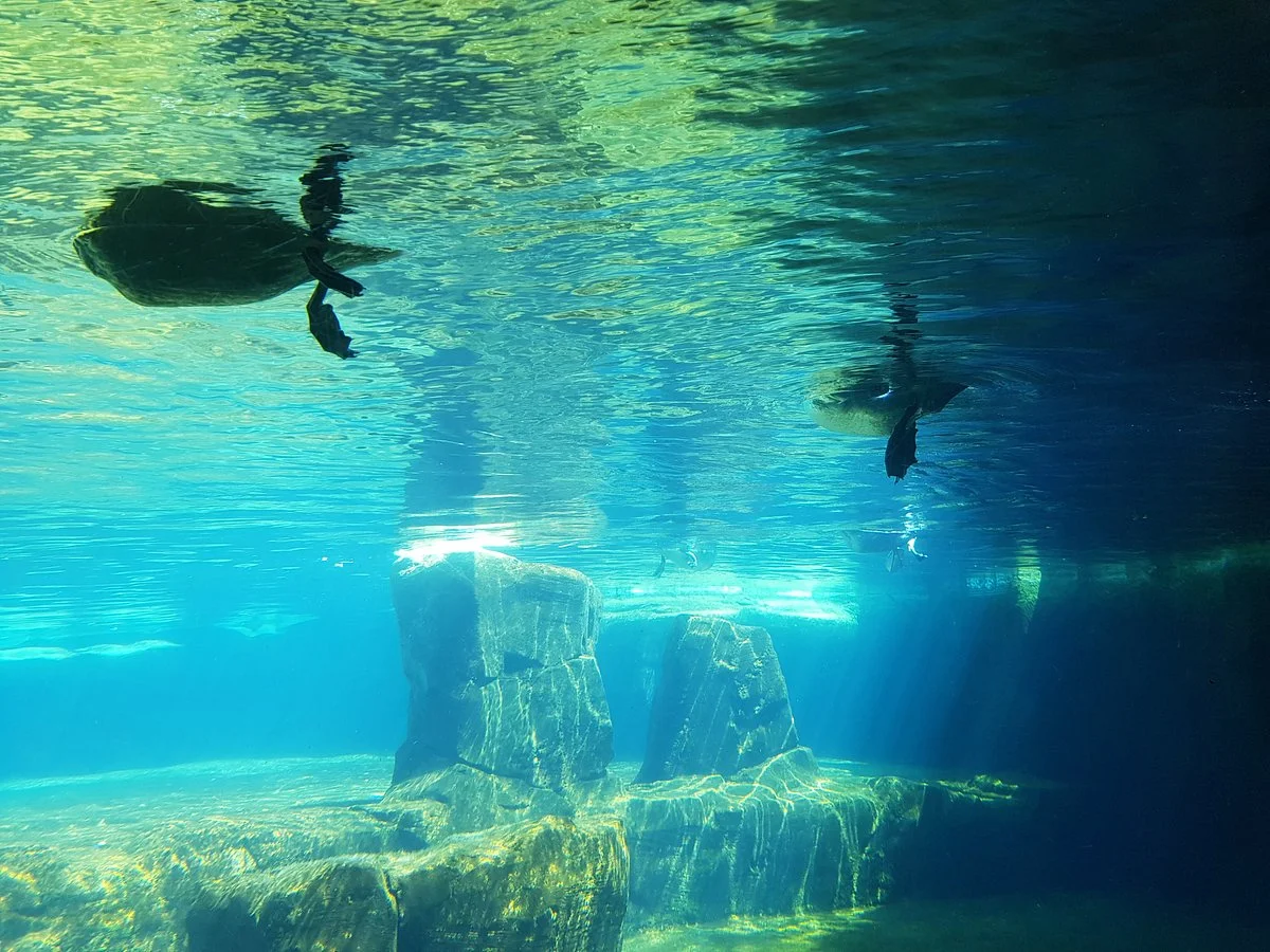 Zoo am Meer