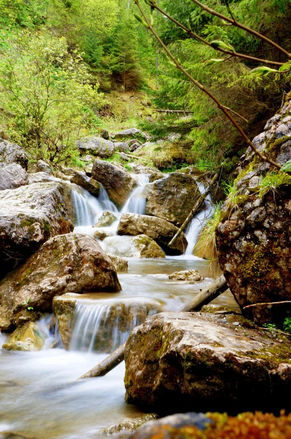 Homole Canyon