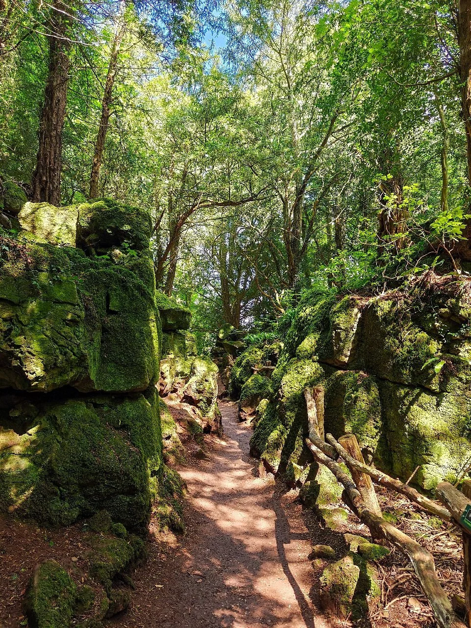 Puzzlewood
