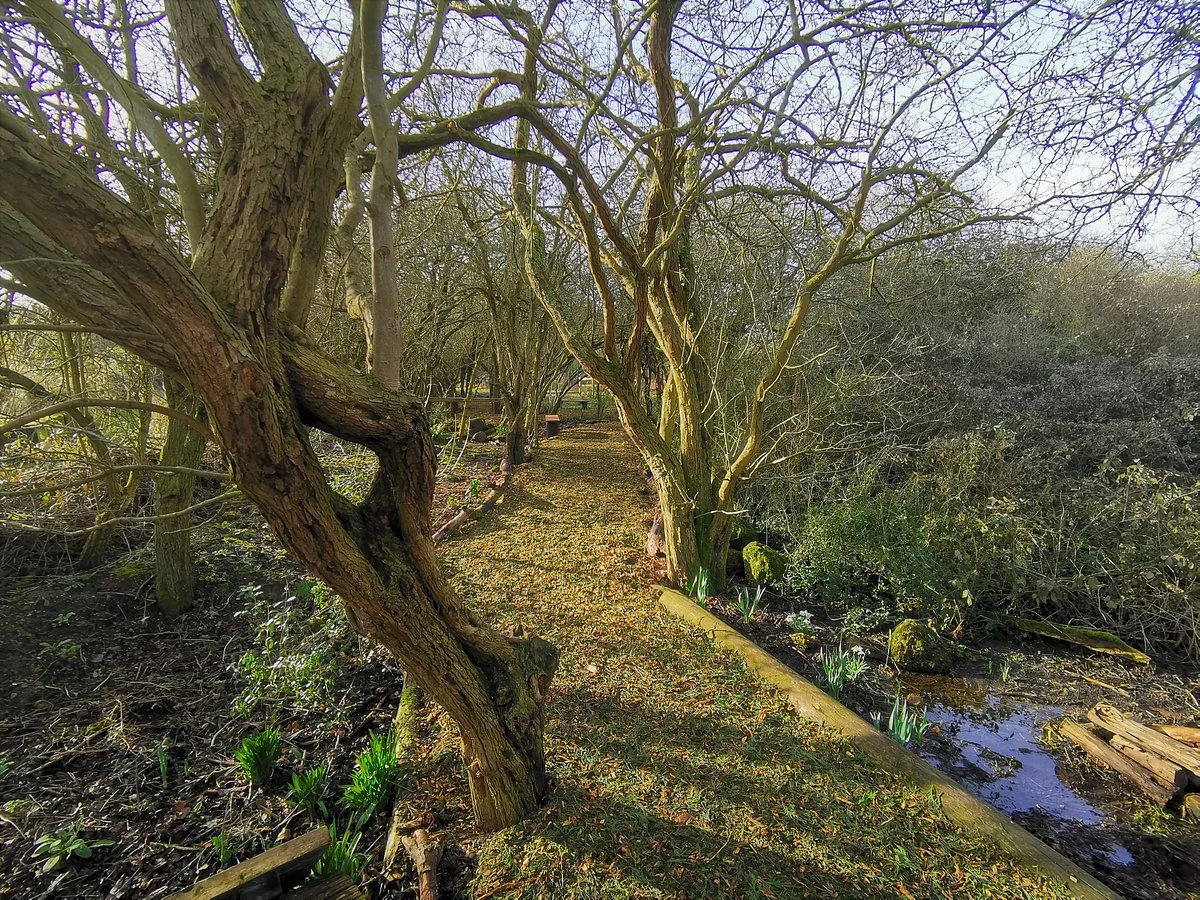 Wat Tyler Country Park