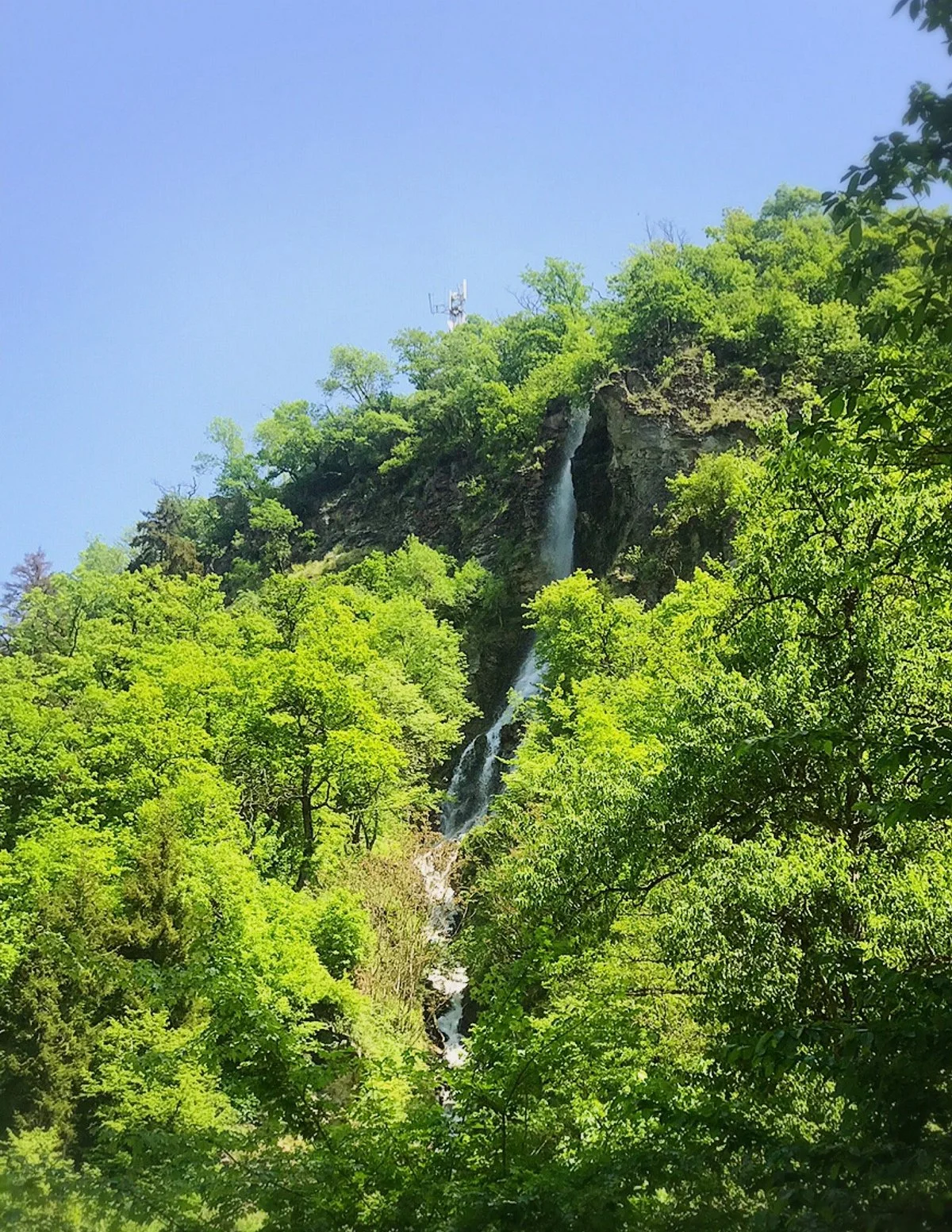 Borjomi Central Park