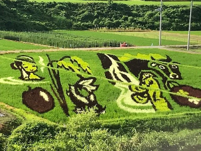 Onogawa Onsen Tambo Art Observation Deck