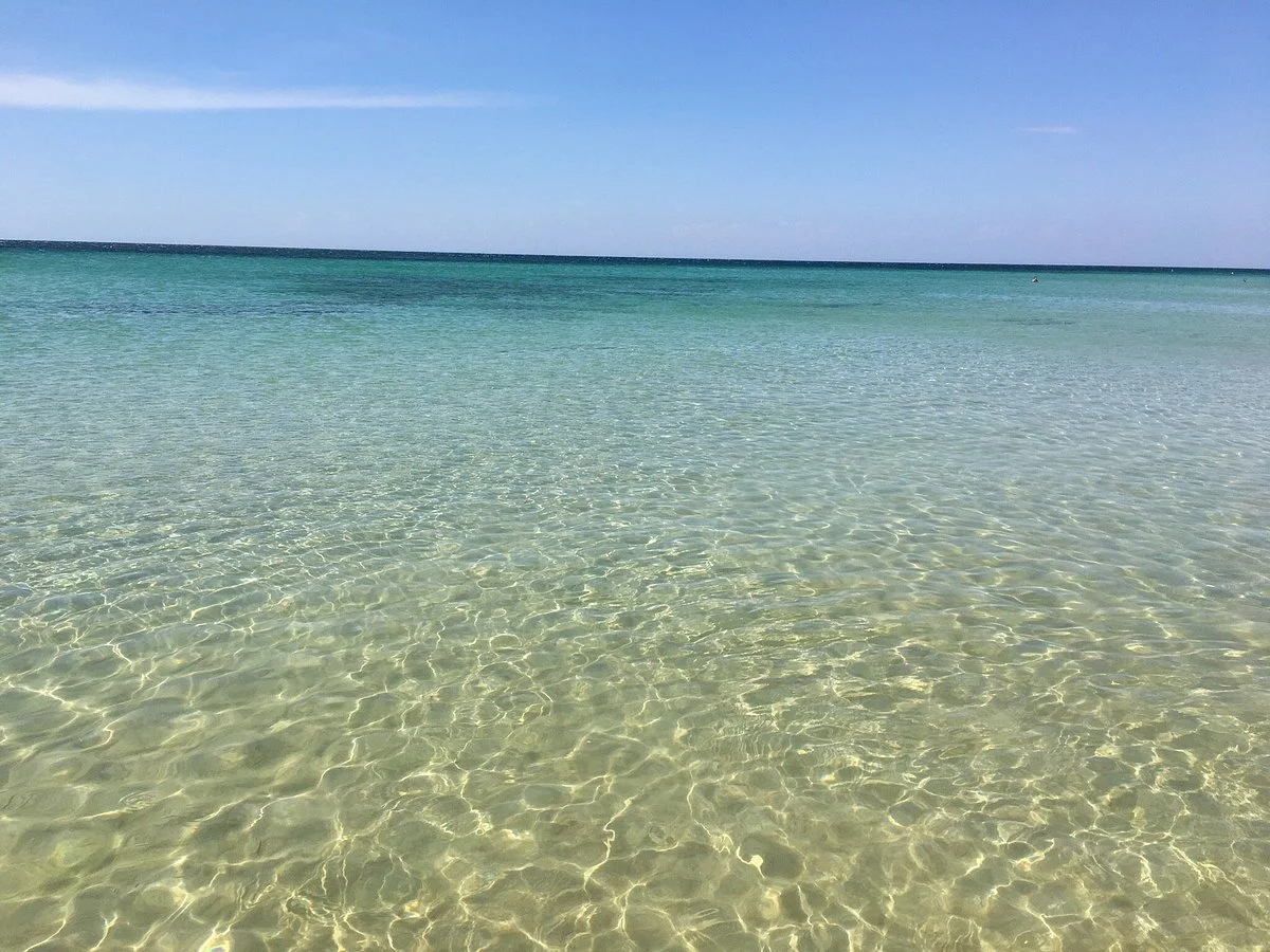 Lido 77